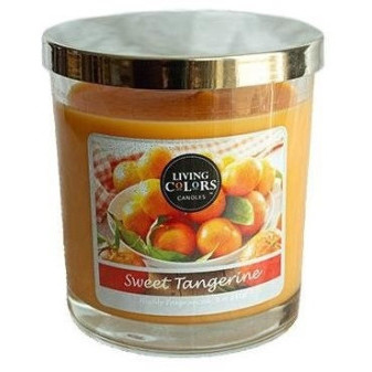 CANDLE LITE Living Colors SWEET TANGERINE 141 g