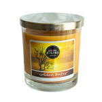 CANDLE LITE Living Colors GOLDEN AMBER 141 g