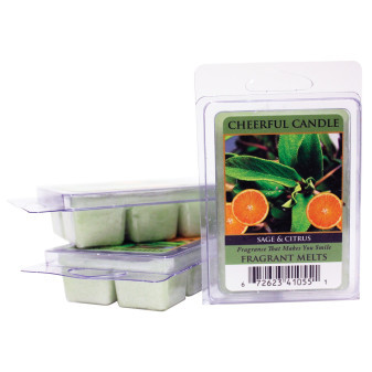 Cheerful Candle SAGE AND CITRUS (Šalvěj a Citrus) 57 g
