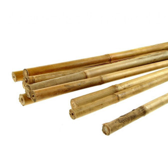 Bamboo Tyče malé průměr 1 - 1,5 cm, délka 150 cm