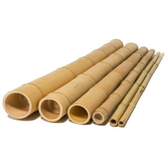 Bamboo Tyče průměr 8-10 cm, délka 150 cm